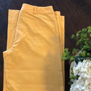 Barney’s Yellow high waisted Wide Leg Pant/Culotte